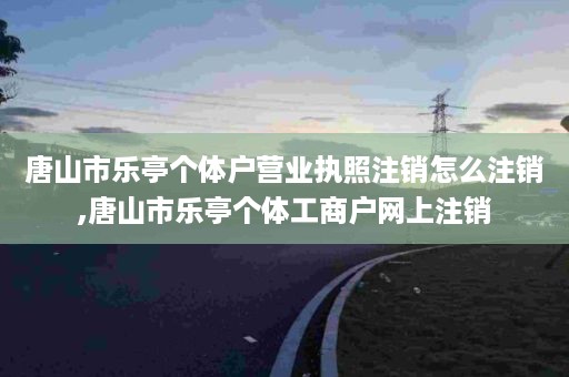 唐山市乐亭个体户营业执照注销怎么注销,唐山市乐亭个体工商户网上注销