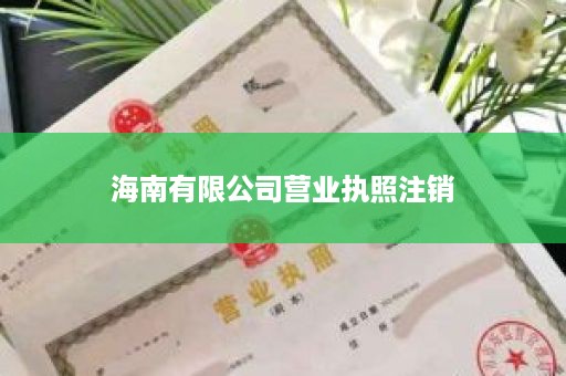 海南有限公司营业执照注销