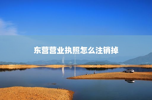 东营营业执照怎么注销掉
