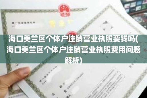 海口美兰区个体户注销营业执照要钱吗(海口美兰区个体户注销营业执照费用问题解析)