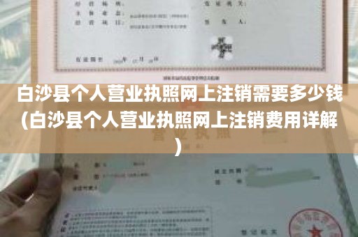 白沙县个人营业执照网上注销需要多少钱(白沙县个人营业执照网上注销费用详解)