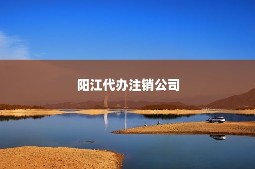 阳江代办注销公司