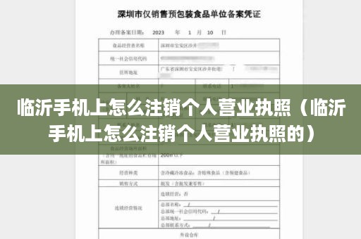 临沂手机上怎么注销个人营业执照（临沂手机上怎么注销个人营业执照的）