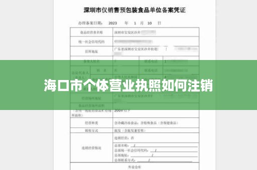 海口市个体营业执照如何注销