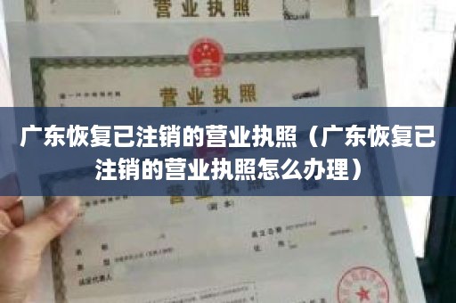广东恢复已注销的营业执照（广东恢复已注销的营业执照怎么办理）
