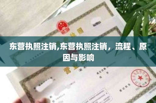 东营执照注销,东营执照注销，流程、原因与影响