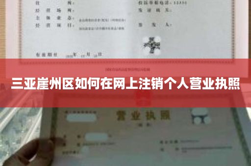 三亚崖州区如何在网上注销个人营业执照