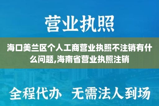 海口美兰区个人工商营业执照不注销有什么问题,海南省营业执照注销
