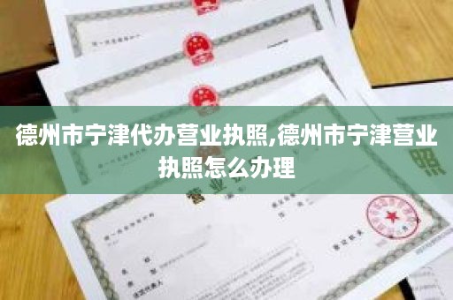 德州市宁津代办营业执照,德州市宁津营业执照怎么办理