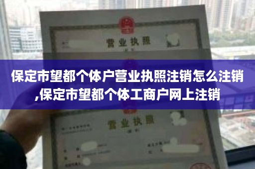 保定市望都个体户营业执照注销怎么注销,保定市望都个体工商户网上注销