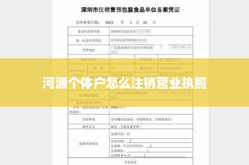 河源个体户怎么注销营业执照