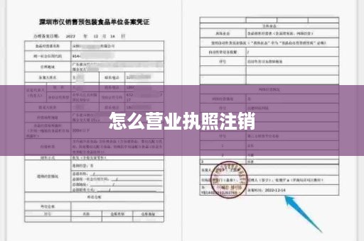 怎么营业执照注销