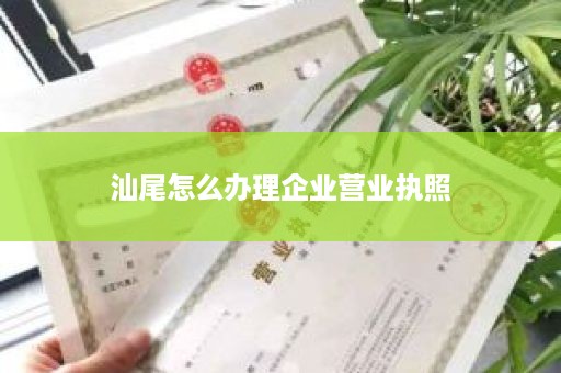汕尾怎么办理企业营业执照