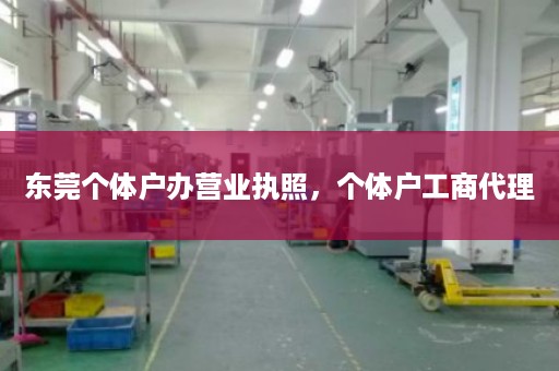 东莞个体户办营业执照，个体户工商代理