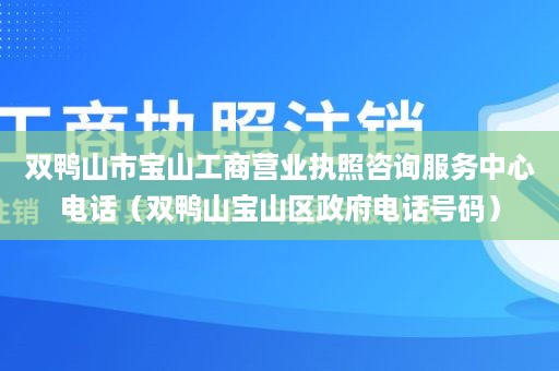双鸭山市宝山工商营业执照咨询服务中心电话（双鸭山宝山区政府电话号码）