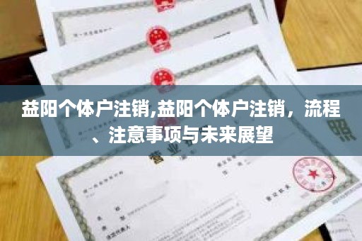 益阳个体户注销,益阳个体户注销，流程、注意事项与未来展望