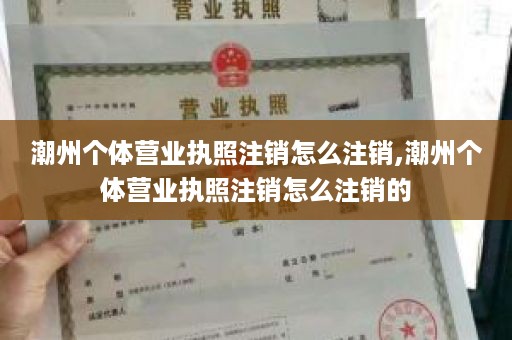 潮州个体营业执照注销怎么注销,潮州个体营业执照注销怎么注销的