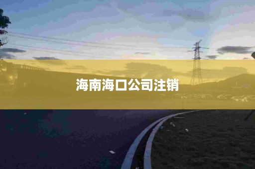 海南海口公司注销
