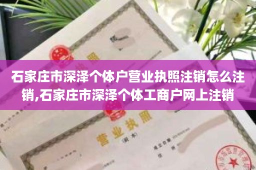 石家庄市深泽个体户营业执照注销怎么注销,石家庄市深泽个体工商户网上注销