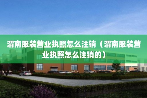 渭南服装营业执照怎么注销（渭南服装营业执照怎么注销的）