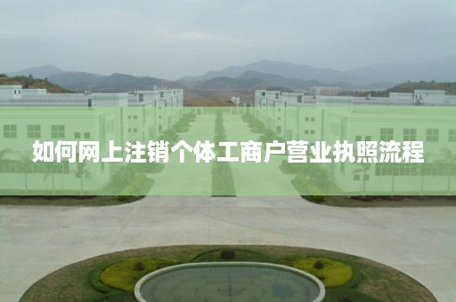 如何网上注销个体工商户营业执照流程