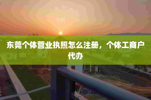 东莞个体营业执照怎么注册，个体工商户代办