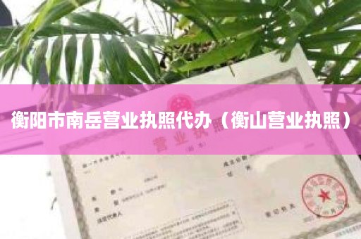 衡阳市南岳营业执照代办（衡山营业执照）