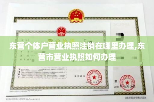 东营个体户营业执照注销在哪里办理,东营市营业执照如何办理