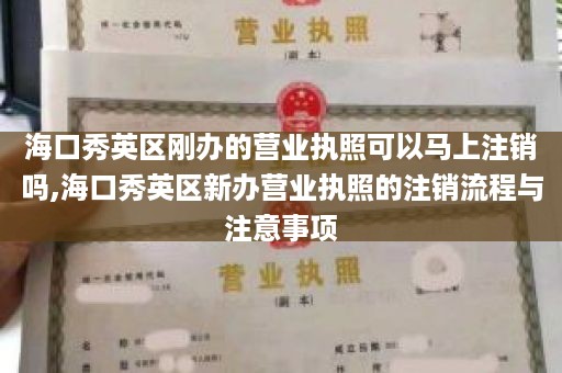 海口秀英区刚办的营业执照可以马上注销吗,海口秀英区新办营业执照的注销流程与注意事项