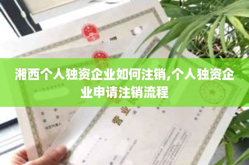 湘西个人独资企业如何注销,个人独资企业申请注销流程