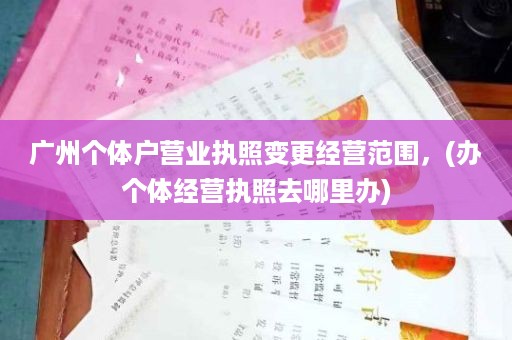广州个体户营业执照变更经营范围，(办个体经营执照去哪里办)