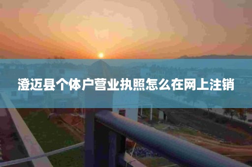澄迈县个体户营业执照怎么在网上注销
