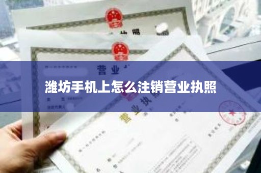 潍坊手机上怎么注销营业执照