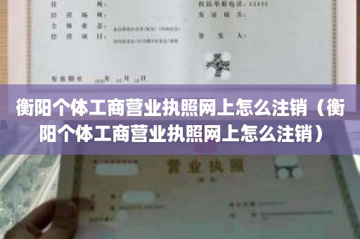 衡阳个体工商营业执照网上怎么注销（衡阳个体工商营业执照网上怎么注销）