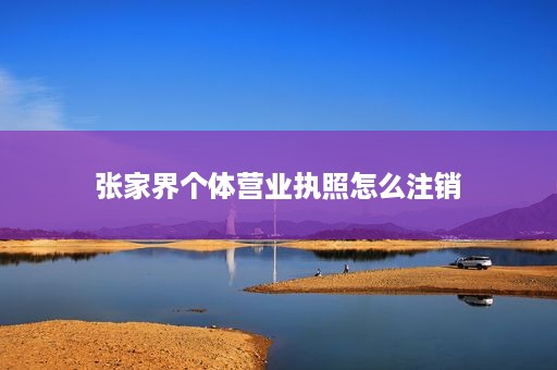 张家界个体营业执照怎么注销