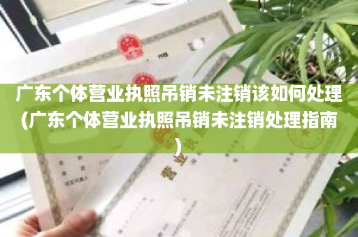 广东个体营业执照吊销未注销该如何处理(广东个体营业执照吊销未注销处理指南)