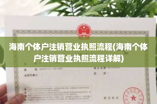 海南个体户注销营业执照流程(海南个体户注销营业执照流程详解)