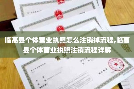 临高县个体营业执照怎么注销掉流程,临高县个体营业执照注销流程详解