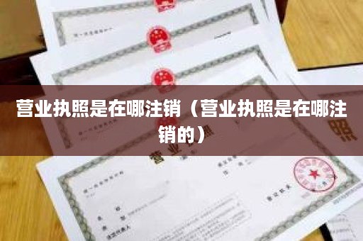 营业执照是在哪注销（营业执照是在哪注销的）