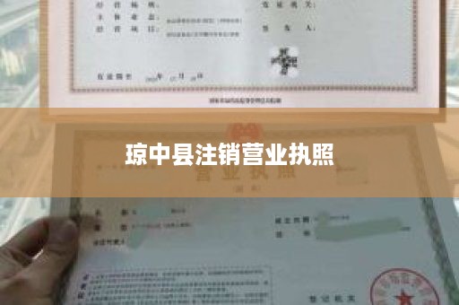 琼中县注销营业执照