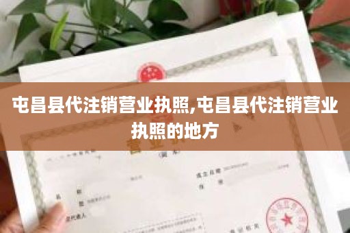 屯昌县代注销营业执照,屯昌县代注销营业执照的地方