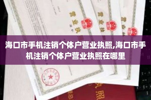 海口市手机注销个体户营业执照,海口市手机注销个体户营业执照在哪里
