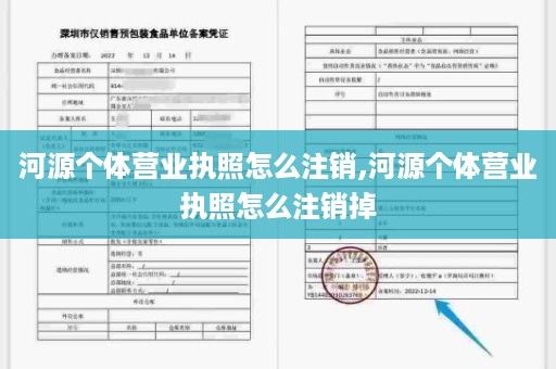 河源个体营业执照怎么注销,河源个体营业执照怎么注销掉