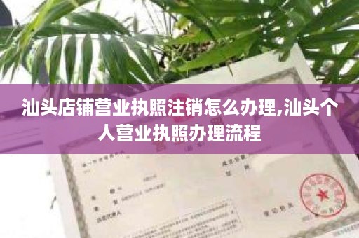 汕头店铺营业执照注销怎么办理,汕头个人营业执照办理流程