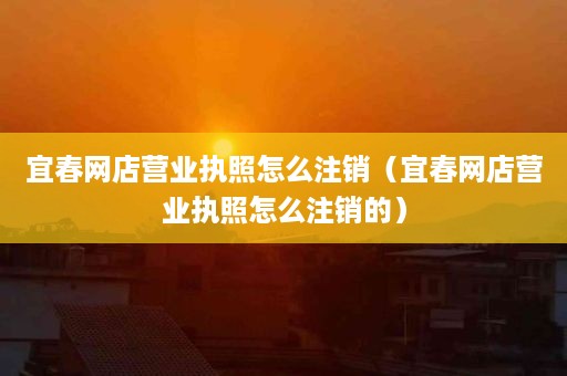 宜春网店营业执照怎么注销（宜春网店营业执照怎么注销的）