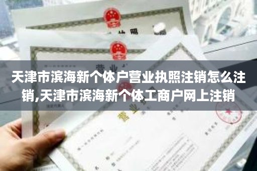 天津市滨海新个体户营业执照注销怎么注销,天津市滨海新个体工商户网上注销