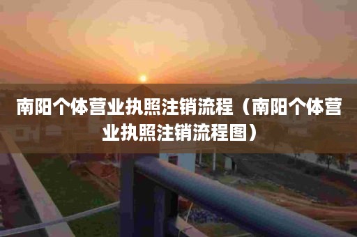 南阳个体营业执照注销流程（南阳个体营业执照注销流程图）