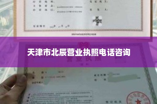 天津市北辰营业执照电话咨询