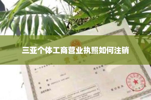 三亚个体工商营业执照如何注销