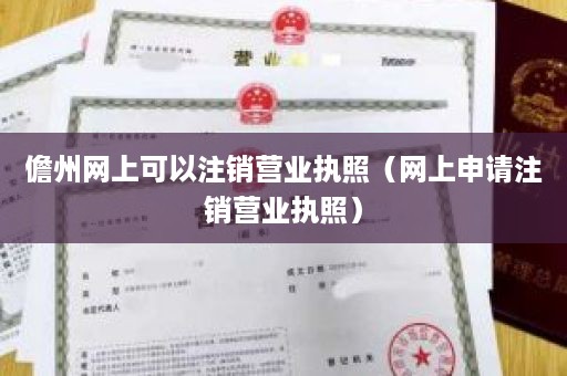 儋州网上可以注销营业执照（网上申请注销营业执照）